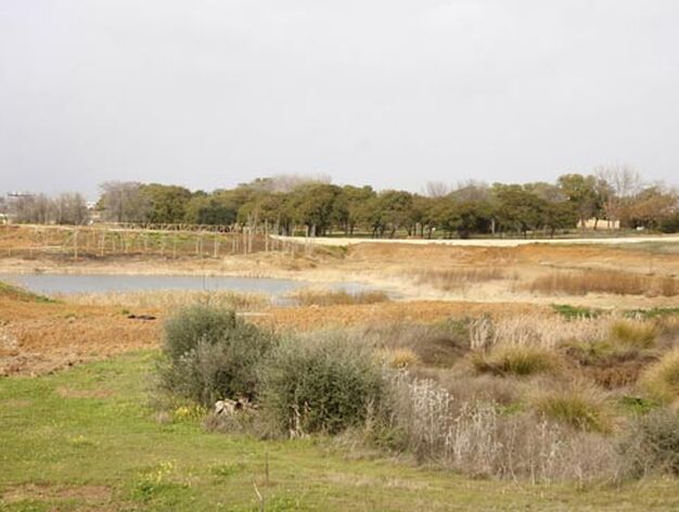 Vista de parte del lago con nuevas plantaciones mediterr&aacute;neas.

Foto: Victoria Hidalgo