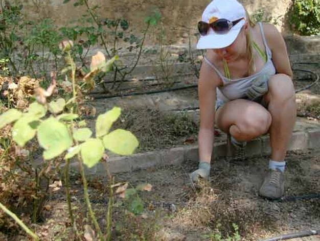 Una jardinero prepara el suelo para la proxima plantaci&oacute;n

Foto: Bel&eacute;n Vargas