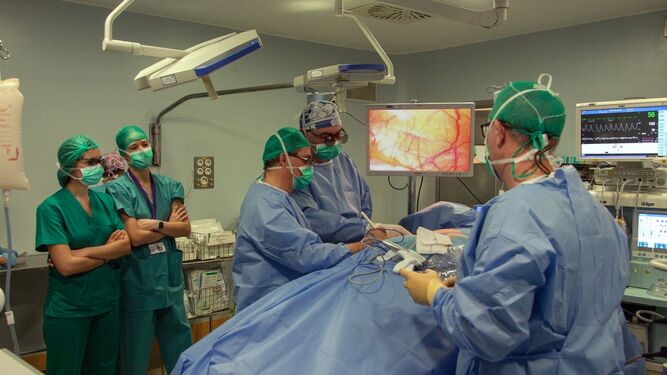Una operación de trasplante de riñón en un quirófano del Virgen Del Rocío.