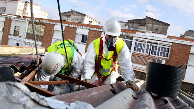Trabajadores realizan labores de recogida de placas con amianto utilizadas en construcción.