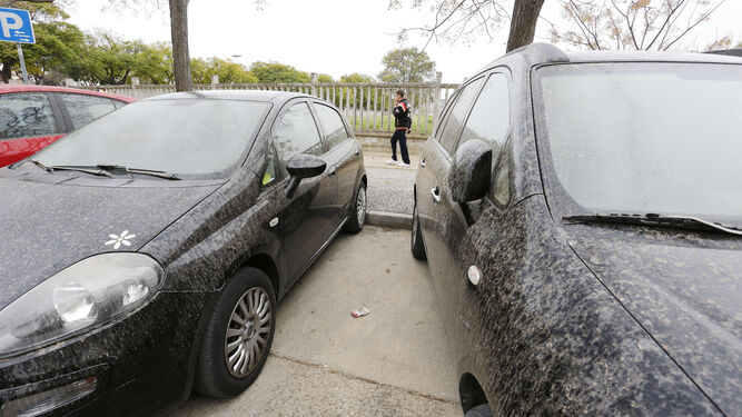 El polvo sahariano y la lluvia dejan la imagen de miles de coches sucios en Jerez