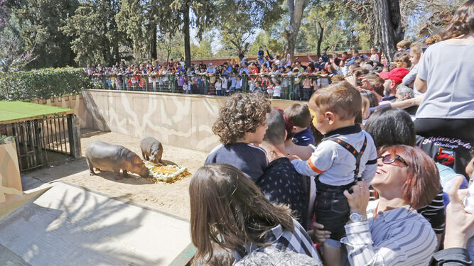 El Zoo es una de las instalaciones más solicitadas por estudiantes.
