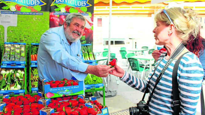 Una turista recoge una fresa de manos de Bartolomé Ramírez, presidente de la Cooperativa Las Virtudes, de Conil.