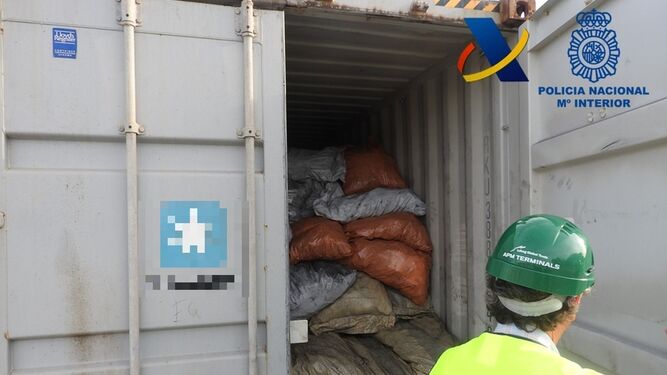 La carga intervenida dentro del camión, en el puerto de Algeciras.