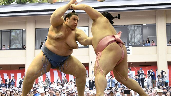 El sumo sigue arrastrando a las masas