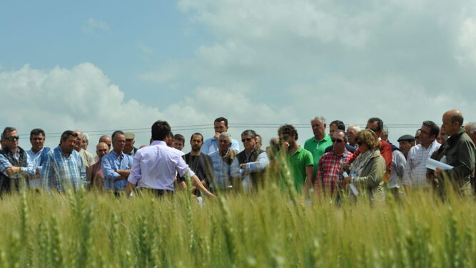 Una de las visitas programadas en las jornadas para conocer distintos ensayos con cultivos que se realizan en la zona.