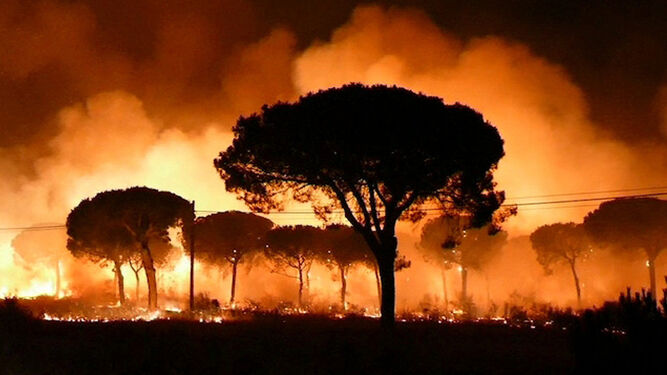 Impresionante imagen del incendio en pleno apogeo