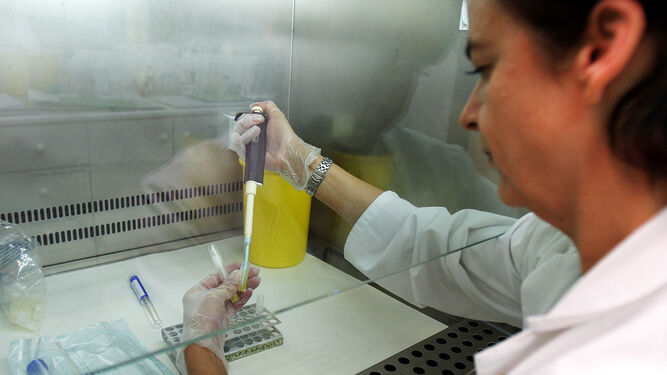 Una trabajadora de un centro de conservación de semen para pacientes oncológicos