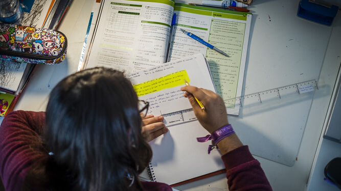 Una joven realiza tarea  en casa.