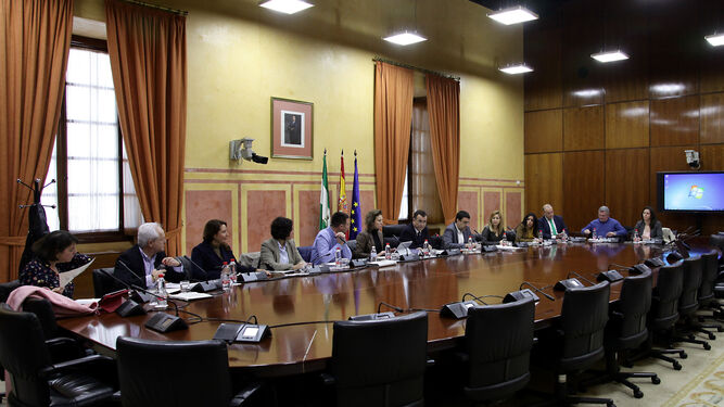 Reunión del grupo de trabajo sobre la propuesta de reforma autonómica celebrada ayer en el Parlamento.