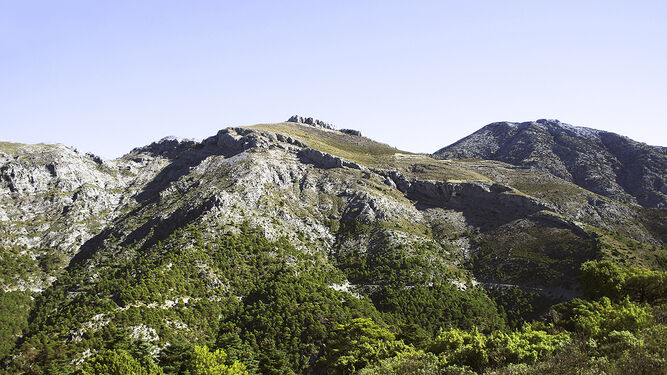 Cerro  Alcojona