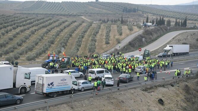 Tractoradas en Andalucía, en directo: las protestas de los agricultores amenazan la hora punta del tráfico