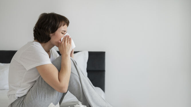 ¿Alergia o resfriado? Todo lo que debes saber para diferenciarles y prevenir brotes
