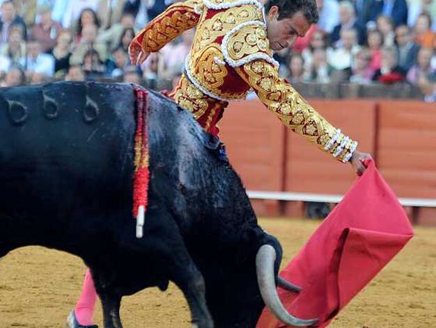 'Saleroso' persigue la muleta que lleva Cort&eacute;s.

Foto: Antonio Pizarro
