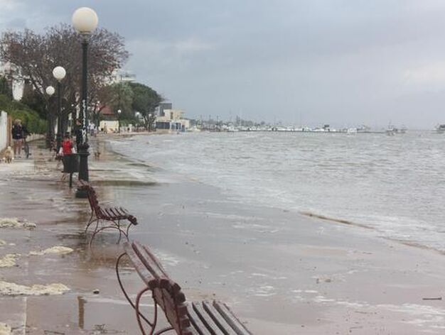 La crecida de los r&iacute;os provoca numerosas inundaciones en Huelva. / Reportaje fotogr&aacute;fico de Correa y Espinosa.
