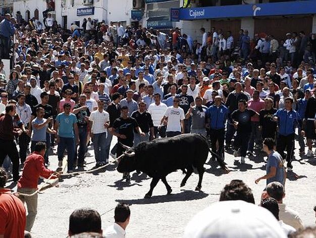 Momento del encierro del primer toro. 

Foto: Ramon Aguilar