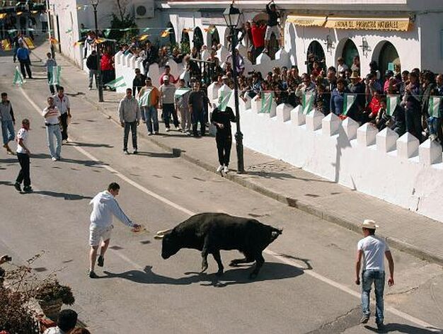 Paterna tambi&eacute;n se ech&oacute; a la calle para disfrutar del toro embolao coincidiendo con el Domingo de Resurreci&oacute;n. 

Foto: Manuel Aragon Pina