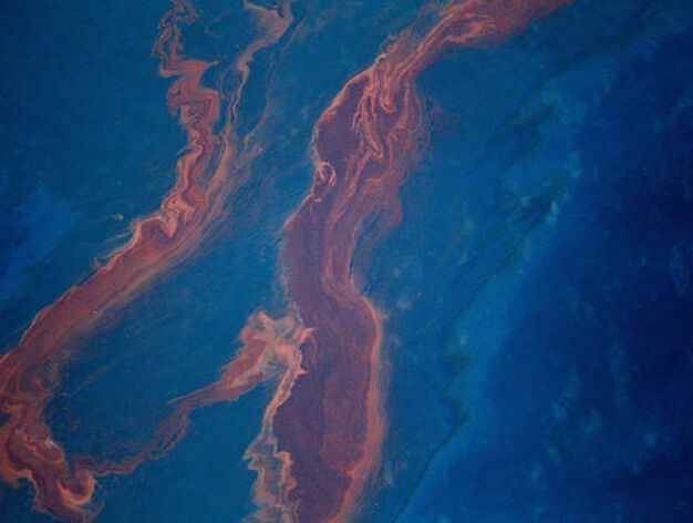 El petr&oacute;leo vertido en el Golfo de M&eacute;xico por una plataforma petrol&iacute;fera amenaza las costas estadounidenses de Luisiana.

Foto: Chris Graythen / Reuters AFP