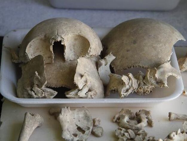 Esqueletos humanos hallados durante la restauraci&oacute;n de la iglesia de San Luis de los Franceses.

Foto: Victoria Hidalgo