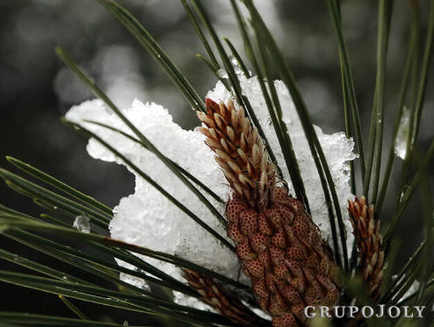 La nieve sorprende a la Sierra en plena primavera

Foto: Ram&oacute;n Aguilar