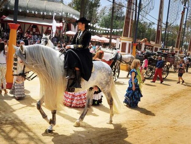 Belleza. Un caballo premiado en Equisur, montado por una amazona de la Real Escuela.  

Foto: Manuel Aranda