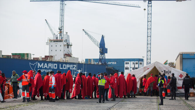 La Cruz Roja atiende en el puerto de Málaga al grupo de 52 inmigrantes rescatados ayer por Salvamento Marítimo.