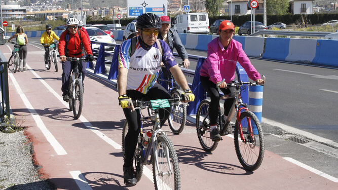 Un grupo de ciclistas circula por un carril bici