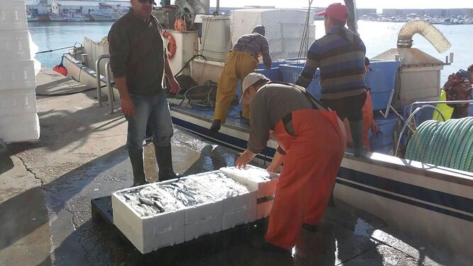 Los pesqueros de Barbate prueban otra vez suerte en Marruecos