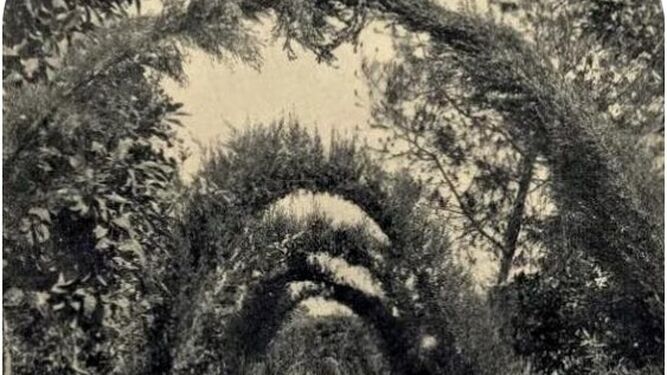 Fotografía del siglo pasado de jerezanos bajo los arcos de los cipreses.