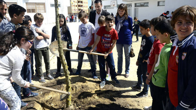 Plantación de árboles en el colegio Antonio Machado