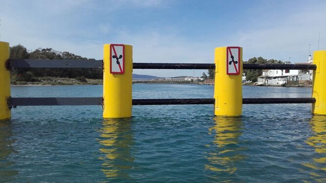 La barrera antinarcos del Guadarranque, de nuevo reparada