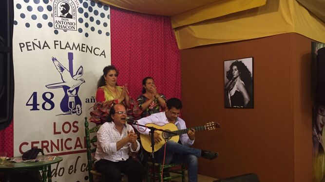 La Peña Los Cernícalos acoge distintas actuaciones estos días. Ayer, al cante, José Méndez; Juan M. Moneo a la guitarra; y al baile, Miriam y Carmen Ledesma.