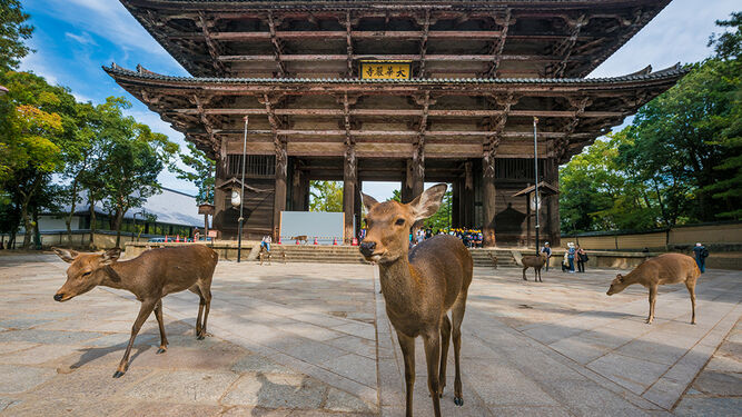 Llueve en Nara
