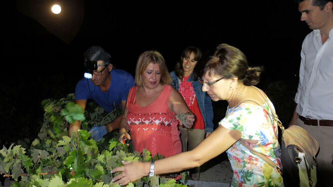 Mamen Sánchez, ayer durante la visita a la vendimia nocturna en la viña El Corregidor.