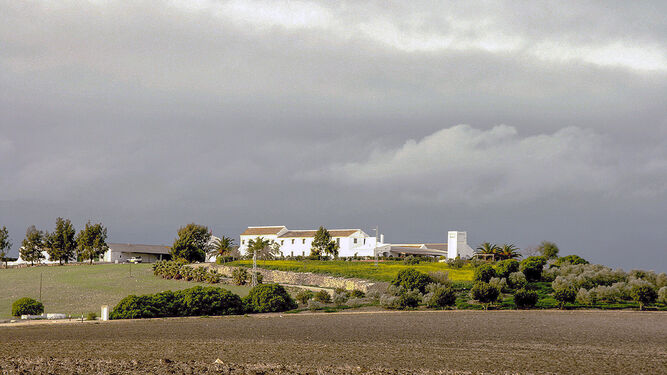 Zona cercana al Cortijo Alijar donde Cepsa desarrollará su primer parque eólico.