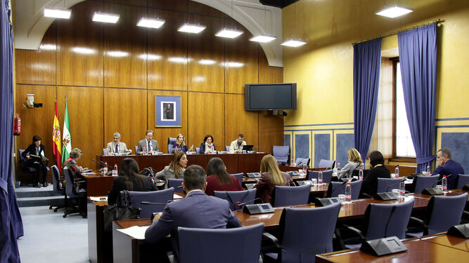 Un instante de la comisión de Fomento y Vivienda celebrada ayer en el Parlamento.