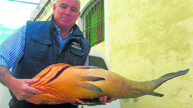 Diego Lora, de pescados Bedimar, posa con un mero que va a enviar a un cliente.