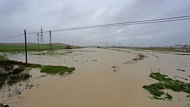 Tierras de labor y viñedos junto a la carretera del Calvario cubiertos por agua tras las abundantes precipitaciones registradas en los últimos días.