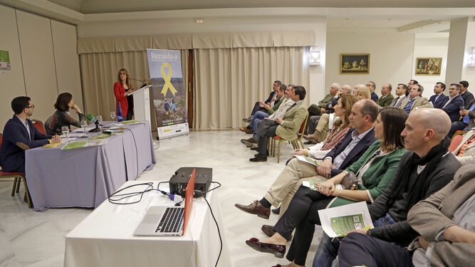 María Rosa, en un momento de la exposición del proyecto a los empresarios en el Hotel Jerez.