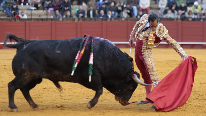 Luis Bolívar, en un natural al cuarto toro, al que cortó la única oreja concedida en la plaza de toros de Sevilla. / JUAN CARLOS MUÑOZ