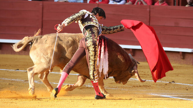 En ambos toros de su lote Andrés Roca Rey cerró las series con monumentales pases de pecho.
