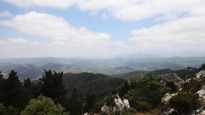 Vista de los Montes de Propios desde su zona más elevada, el 'Monte Picacho'.