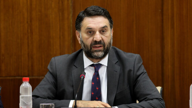 El consejero de Turismo, Francisco Javier Fernández, ayer en su comparecencia en el Parlamento.