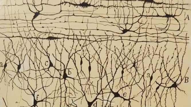 Neuronas espejo, ética y ficción