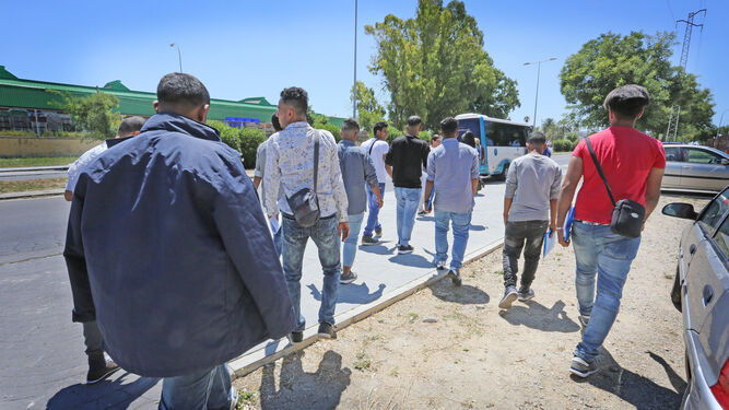 Los once hombres solicitantes de protección internacional, ayer, antes de subir al autobús que los trasladó a los pisos en San Fernando de Tharsis Betel.