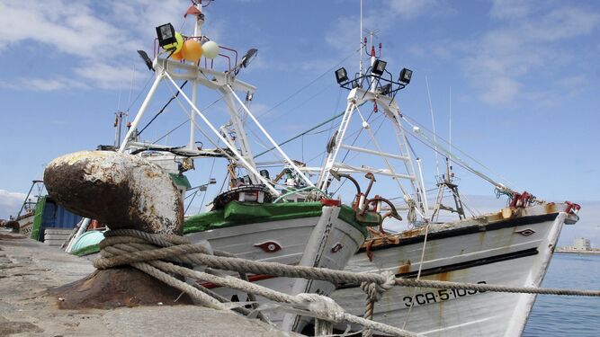 Imagen de archivo de un pesquero de Barbate, amarrado a puerto.