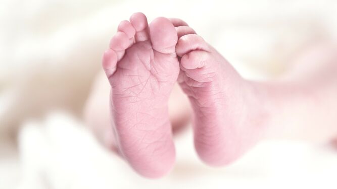 Fallecen 11 bebés holandeses por un tratamiento con Viagra durante su embarazo