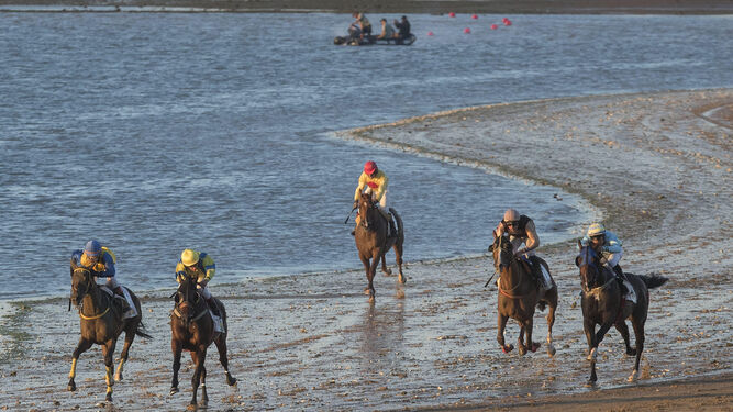 Impresionante estampa con los caballos corriendo en la bajamar sanluqueña entre las playas de Bajo de Guía y Las Piletas.