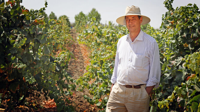 Peter Maurer en el viñedo de varietales tintas en producción ecológica.