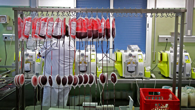 Imagen del interior del Centro Regional de Transfusiones Sanguíneas.